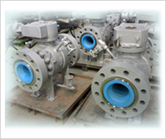 FBE coated Ball Valve Assembly 